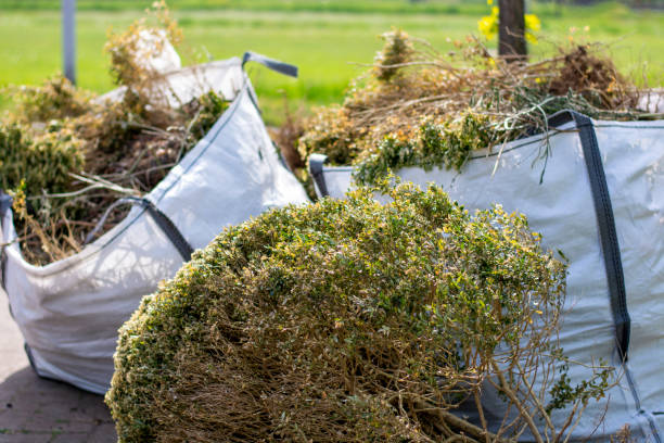 Best Furniture Removal Near Me  in Lake Elsinore, CA