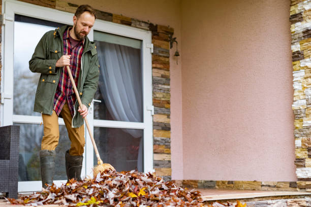 Best Basement Cleanout Services  in Lake Elsinore, CA